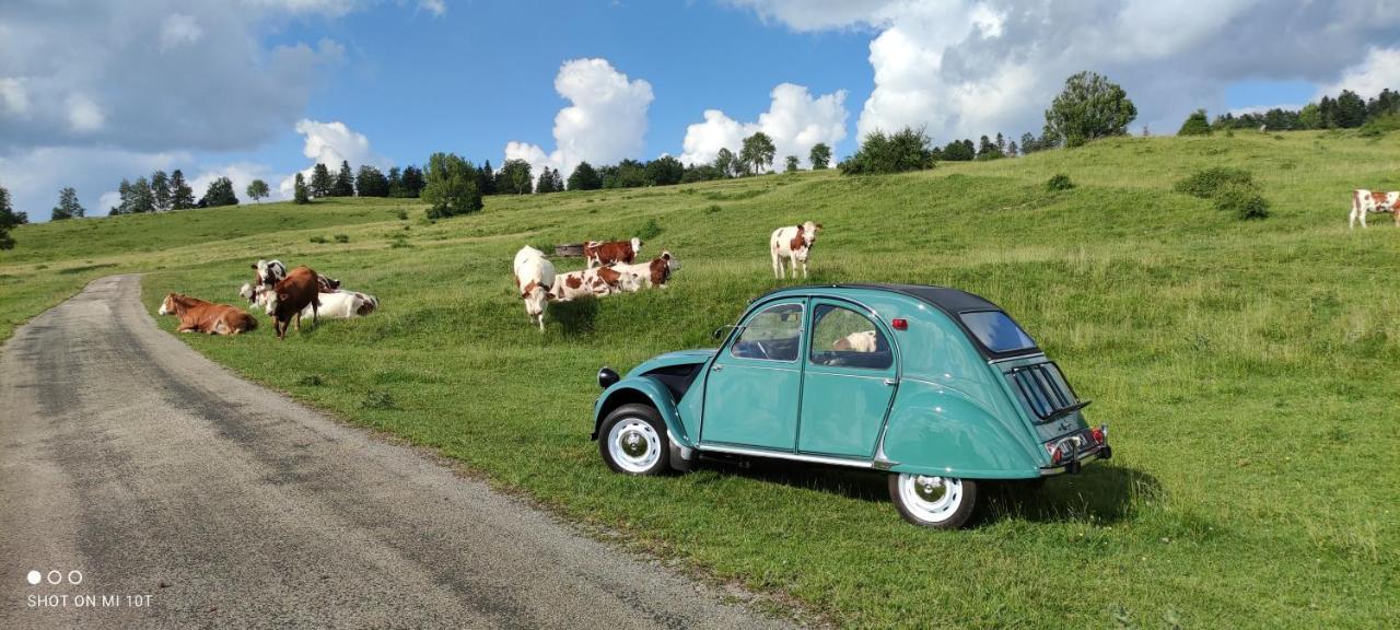 Le Jura En Toutes Saisons Piscine, Spa, Location Vtt, Balades 2Cv, Climatisation Bonlieu 외부 사진